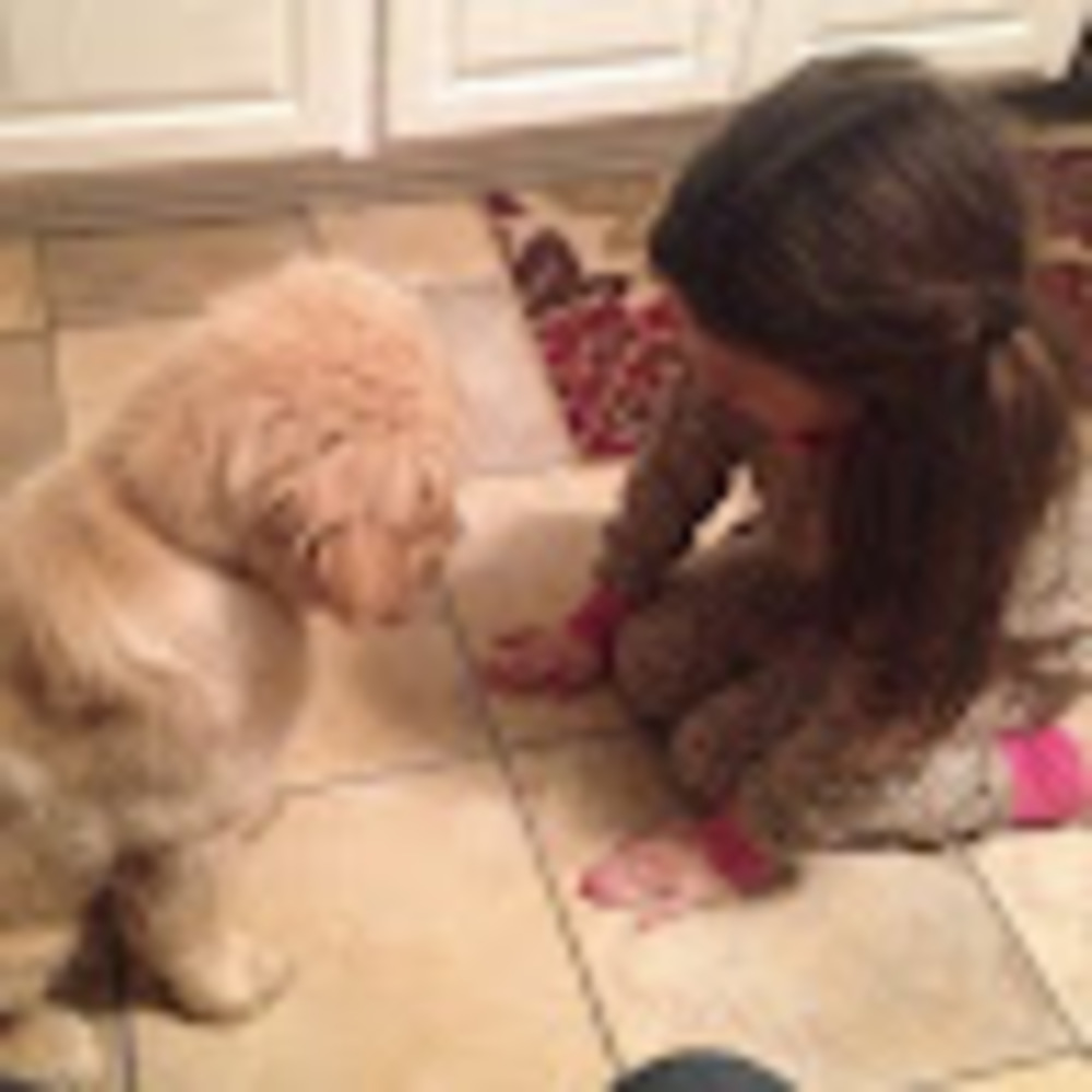 Meet your Posher, Sophia